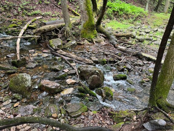 Close up of rock at a stream crossing.