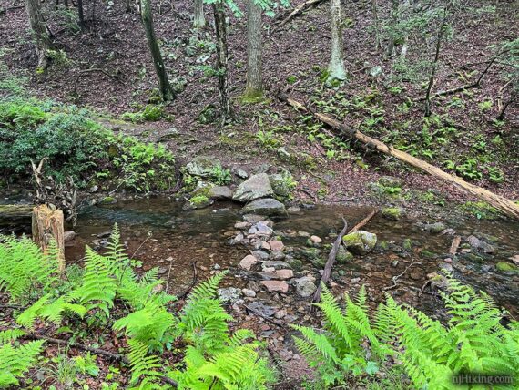 Rocks stacked in a stream in order to cross it.