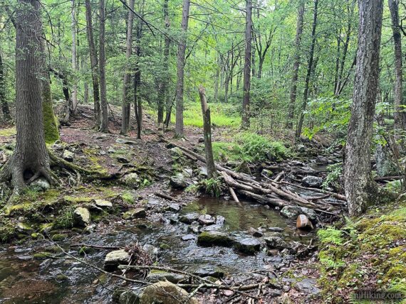 Final crossing of Dunnfield Creek.