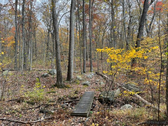 Wooden trail foot bridge.