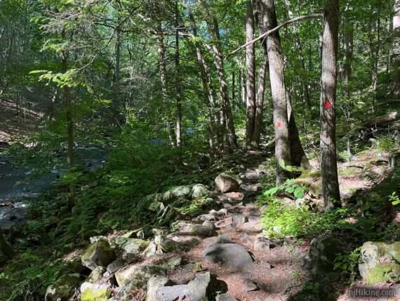 Rocky trail next to a river.