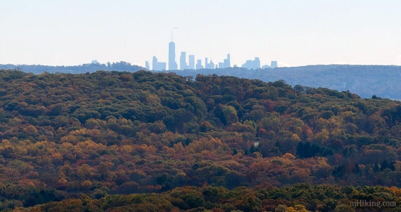 New York City panorama seen from the hawk watch viewing area.
