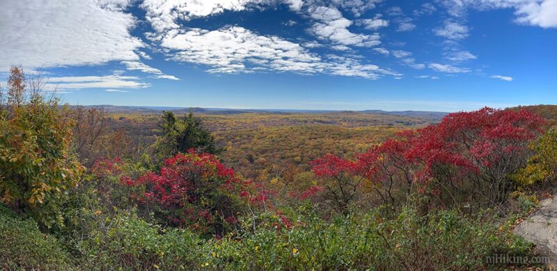 Panoramic view from Wildcat Ridge hawk watch.