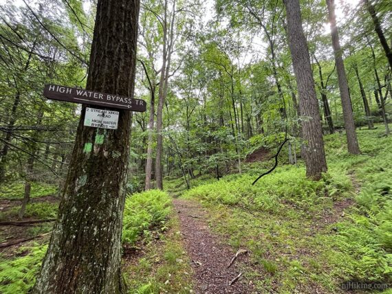 High Water Bypass sign at a trail split.