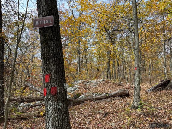 Start of the red trail.