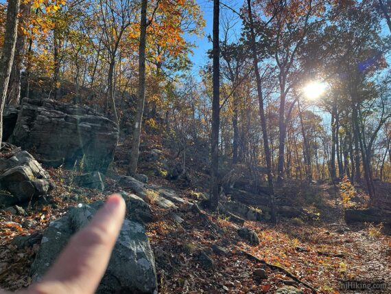 Finger pointing to the location of a trail.
