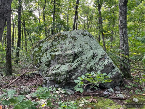Glacial erratic.