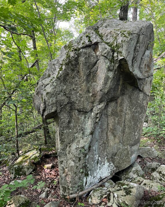 Glacial erratic.