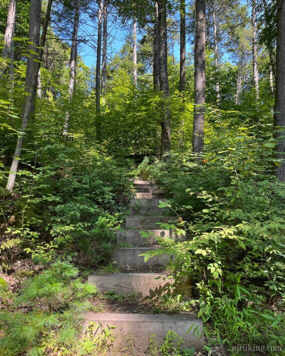 Steps in Tillman Ravine.