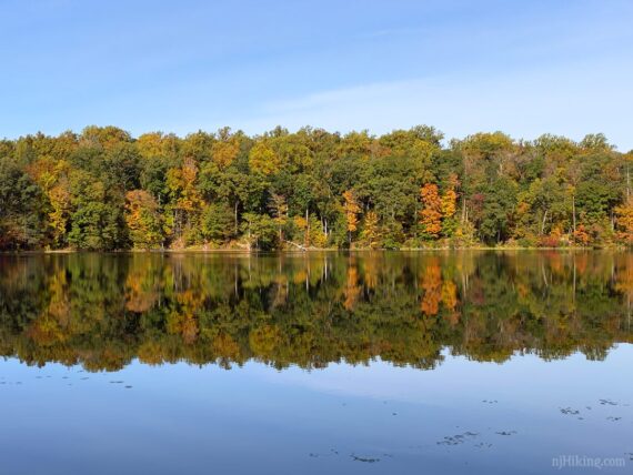 Foliage around Lake Aeroflex reflecting in the water.