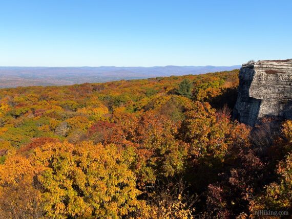 Sam's Point fall color.