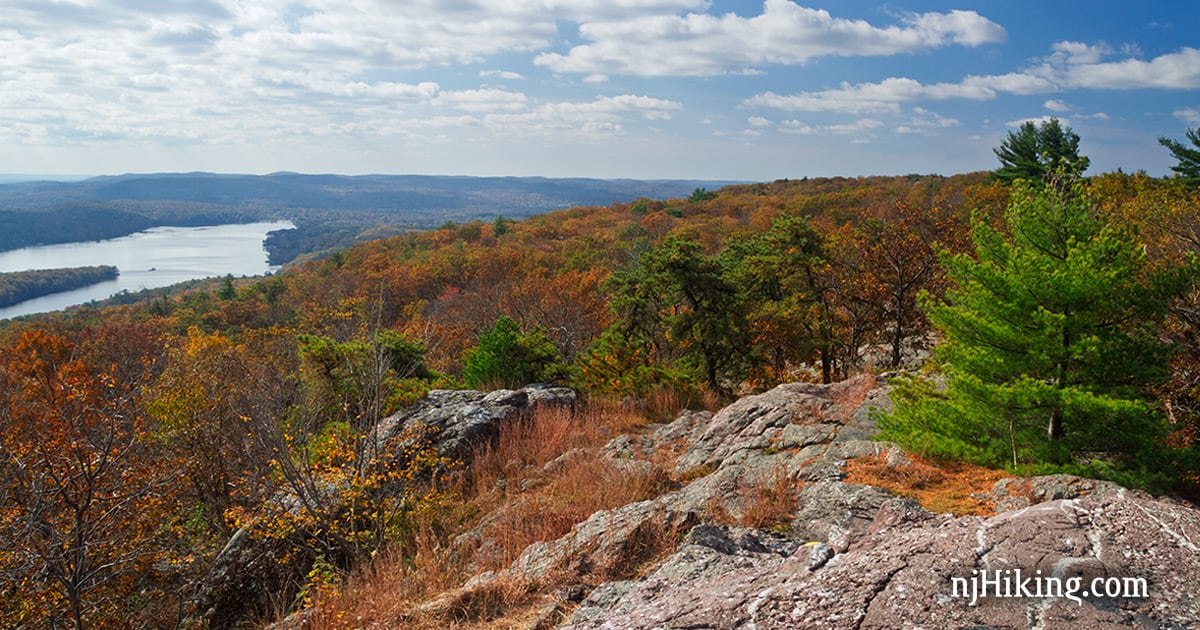 Greenwood lake seen beyond rust colored foliage and a lone evergreen tree.