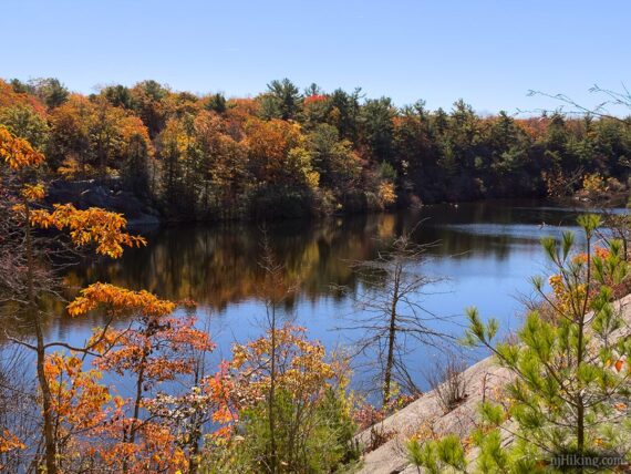 Fall color around Terrace Pond.