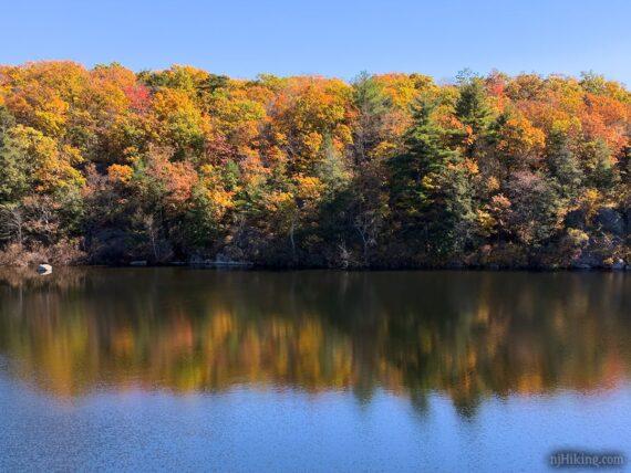 Fall color around Terrace Pond.