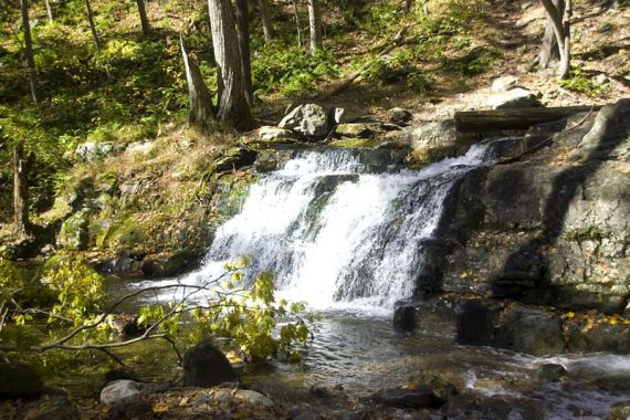 Dunnfield Falls. 13