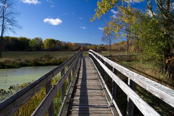 Bridge; turtles might be in the green muck below Bridge on Pochuck Boardwalk