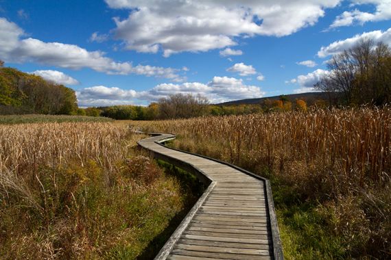 Boardwalk through Pochuck Valley Boardwalk through Pochuck Valley