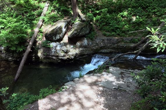 Small waterfall dropping into a shallow pool along Dunnfield Creek.