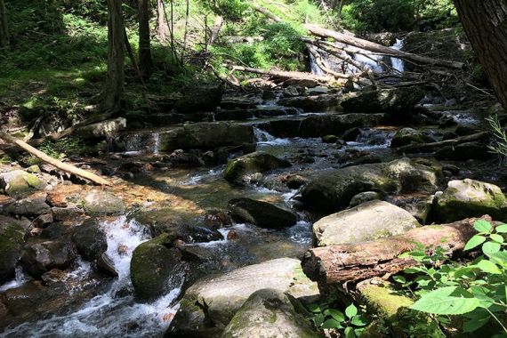 Cascades along Dunnfield Creek.