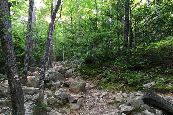 RED DOT trail is rocky right from the start.