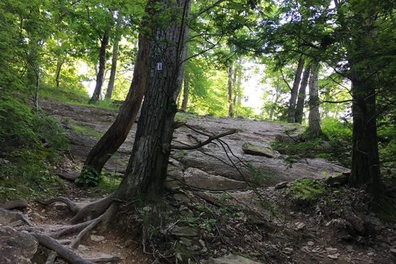 Rocky RED DOT trail