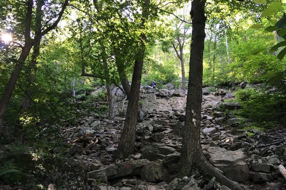 Hikers negotiate a rocky section of RED DOT ahead.