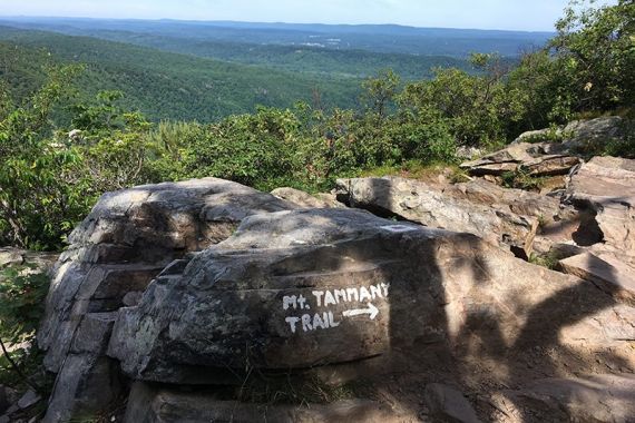 Trail marker for hikers coming up the other direction, on the BLUE trail.