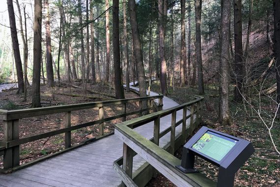 Dingmans Falls | njHiking.com