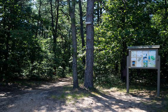 Trailhead IMG_4054